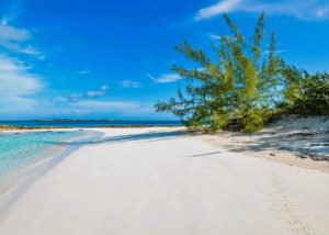 Allen Cay