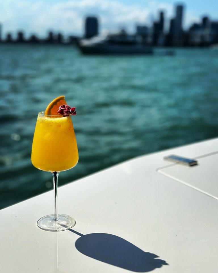 Mixologist yacht rental